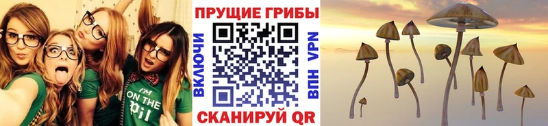 Купить закладки  Верхняя Тура  Галлюциногенные грибы ЛСД 